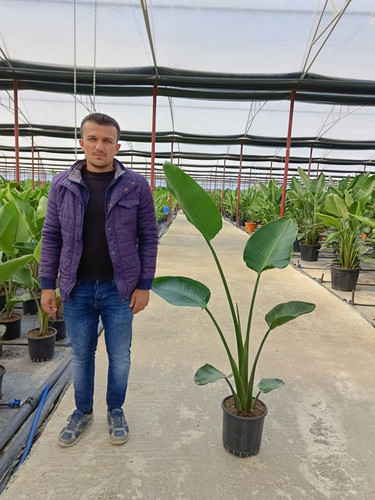 WhatsApp Image 2024 02 29 at 14.47.33 e298edb0.jpg