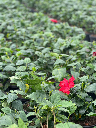 WhatsApp Image 2024 02 29 at 14.53.12 321dd23d.jpg