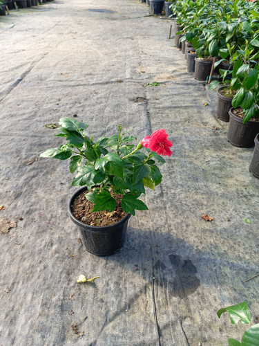 WhatsApp Image 2024 02 29 at 14.53.11 3098d147.jpg