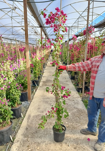 WhatsApp Image 2024 02 29 at 14.38.15 2083dcb0.jpg