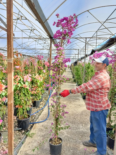 WhatsApp Image 2024 02 29 at 14.38.18 cbffa837.jpg