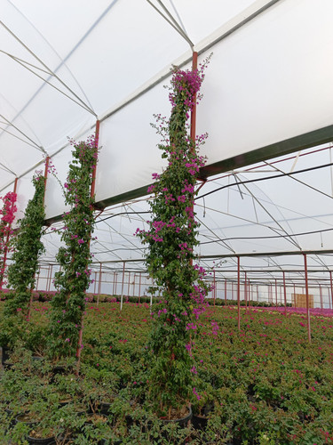 WhatsApp Image 2024 02 29 at 14.40.32 985d88c2.jpg