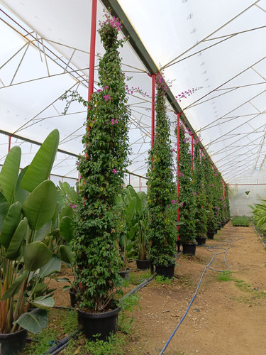 WhatsApp Image 2024 02 29 at 14.40.46 211e2986.jpg