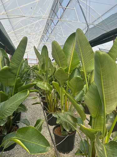 WhatsApp Image 2024 02 29 at 14.47.36 14b80134.jpg