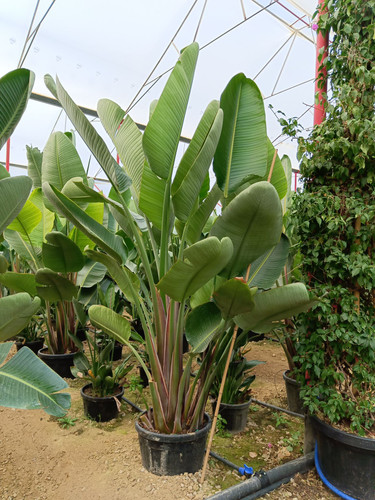 WhatsApp Image 2024 02 29 at 14.47.36 70ac33ef.jpg