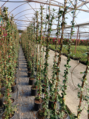 WhatsApp Image 2024 02 29 at 14.49.03 09b70556.jpg