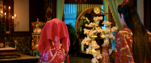 Double faced.Fox.2020.2160p.WEB DL.AAC.H265 MISS.(2).png