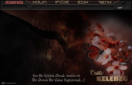 Kristal Kelebeg Sen Hiç Kelebek.jpg