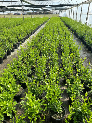 WhatsApp Image 2024 03 02 at 13.06.01 f3c969b1.jpg