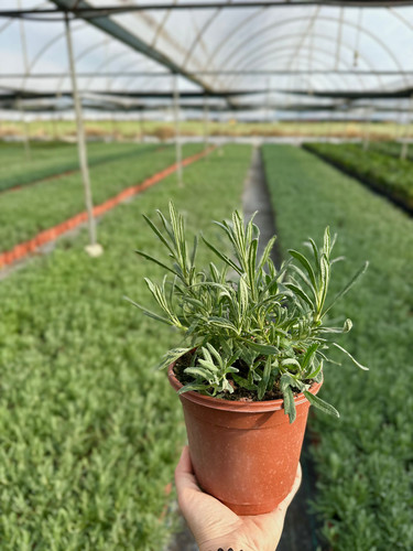 WhatsApp Image 2024 03 02 at 12.59.39 98d0e6ad.jpg