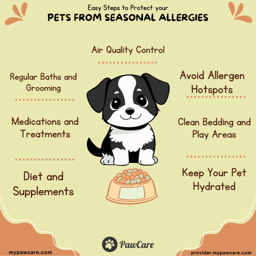 Easy Steps to Protect Your Pets from Seasonal Allergies.png