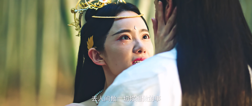 Tale.of.The.Mural.2023.2160p.WEB DL.AAC.H265.HDR MISS.mkv 20240304 151040.272.png