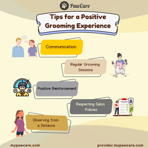 Tips for a Positive Grooming Experience.png