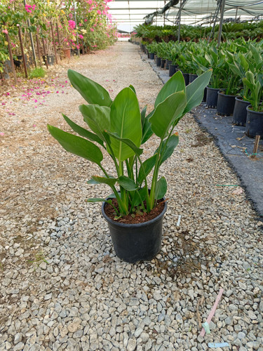 WhatsApp Image 2024 03 02 at 12.58.28 994fd05d.jpg