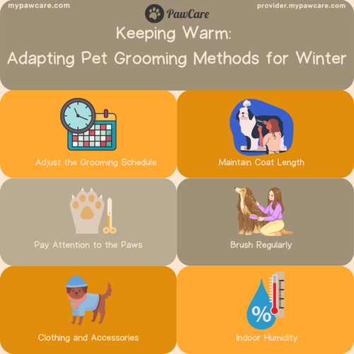 Keeping Warm Adapting Pet Grooming Methods for Winter.png