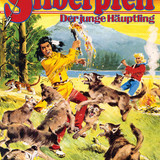 Silberpfeil 323