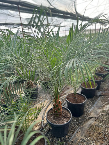 WhatsApp Image 2024 03 02 at 13.12.31 099596b2.jpg