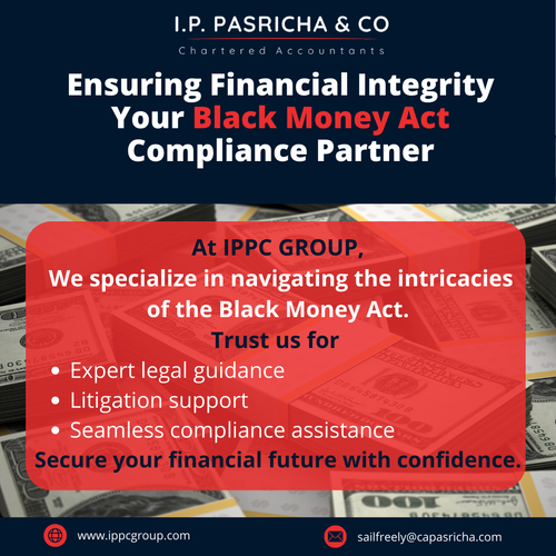 IPP February SMM post (48).png