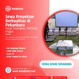 Proyektor211