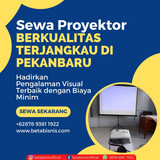 Proyektor209