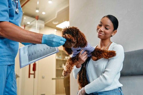 Keeping Your Pet’s Heart Healthy Significance of Vet Visits and Preventive Care.png