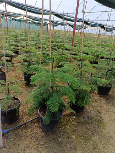 WhatsApp Image 2024 03 02 at 13.08.06 bf2de4a9.jpg