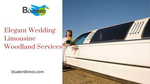 Elegant Wedding Limousine Woodland Services.jpg