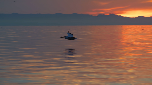 Timescapes.2012.1080p.BluRay.x264.AC3 HDChina.mkv 20240302 145440.567.png