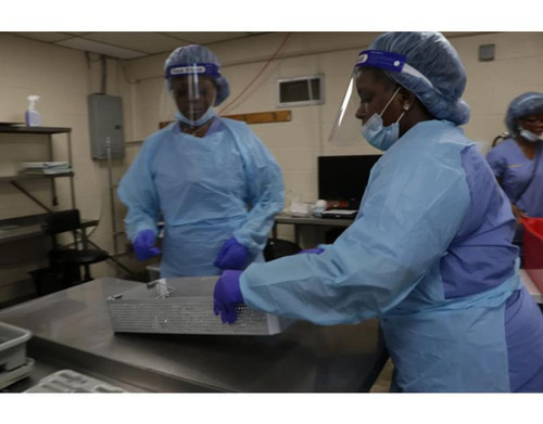 Investigating Sterile.jpg