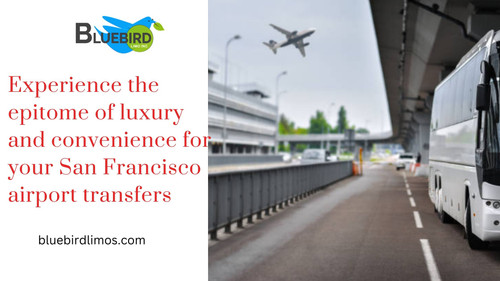 Experience the epitome of luxury and convenience for your San Francisco airport transfers.jpg