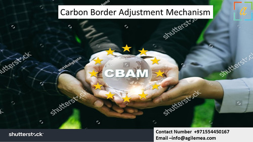 cbaM 4.4.2024.jpg