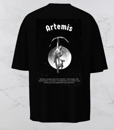 Artemis back design.jpg