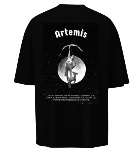 Artemis back design removebg preview.png