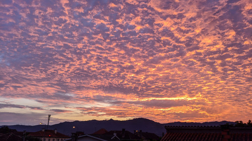 IMG 20200530 210120.jpg