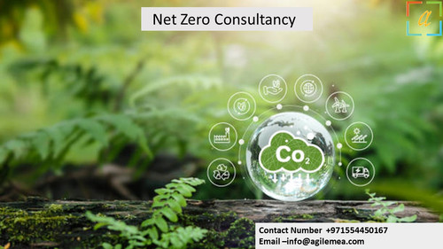 nz consultancy 6.4.2024.jpg