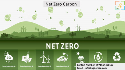 nZ carbon 3.4.2024.jpg