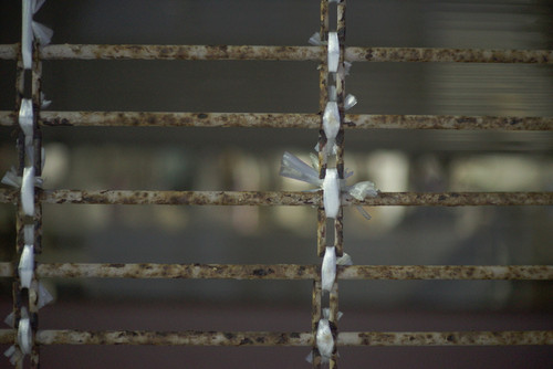 A7SDSC01292.jpg