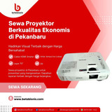 Proyektor250