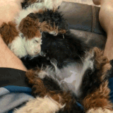 1000002334.gif