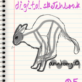 05~ Running Anatomy