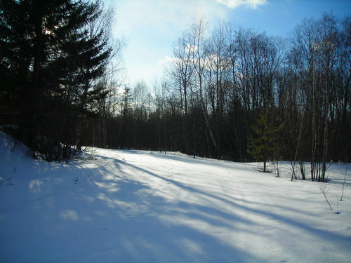 DSCN2296 1 1.jpg