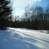 DSCN2296 1 1