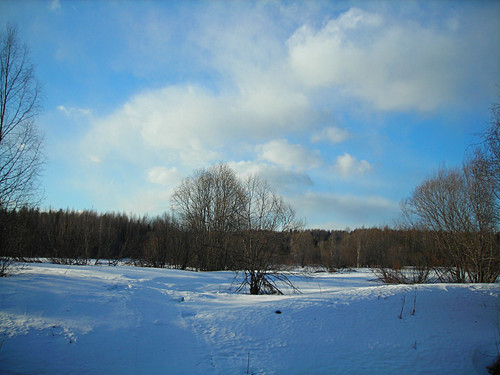 DSCN2305 1 1.jpg