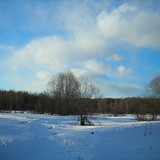 DSCN2305 1 1