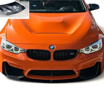 BMW GTS Bonnet.jpg