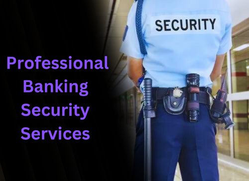  Professional Banking Security Services.png