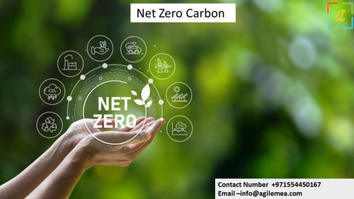 nz carbon 5.4.2024.jpg
