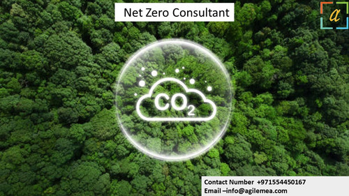 NZ consultant 5.4.2024.jpg