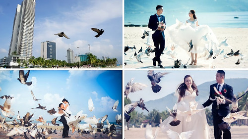 10 dia diem chup anh cuoi da nang quang nam dep nhat 202206041141457029.jpg