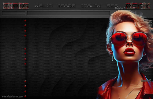 Bayan Radyo Tema 393 1 liebefee13